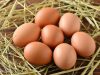WHAT HAPPENS WHEN YOU EAT BOILED EGG EVERYDAY