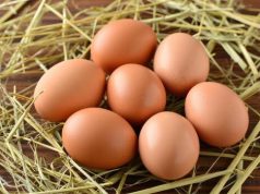 WHAT HAPPENS WHEN YOU EAT BOILED EGG EVERYDAY