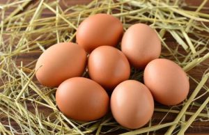 WHAT HAPPENS WHEN YOU EAT BOILED EGG EVERYDAY